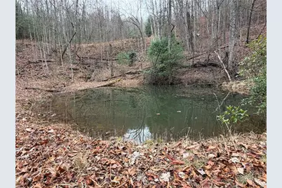 Lot 218 Casey Mountain Road, Purlear, NC 28665 - Photo 23
