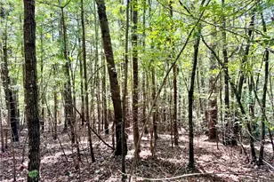 3 31 Acres Lot 37 Poplar Bluff Dr, Lenoir, NC 28645 - Photo 1