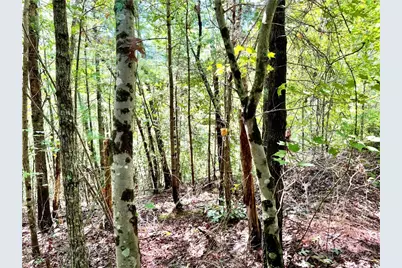 3.31 Acres, Lot 37 Poplar Bluff Drive, Lenoir, NC 28645 - Photo 3