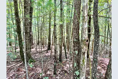 3.31 Acres, Lot 37 Poplar Bluff Drive, Lenoir, NC 28645 - Photo 7