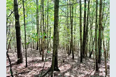 3.31 Acres, Lot 37 Poplar Bluff Drive, Lenoir, NC 28645 - Photo 5