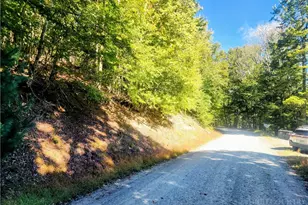113 E Blueberry Ln, Beech Mountain, NC 28604 - Photo 1