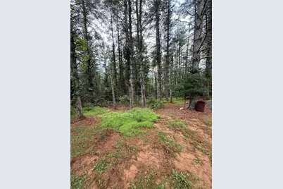 915, 951 Qc Smith Road, West Jefferson, NC 28694 - Photo 15