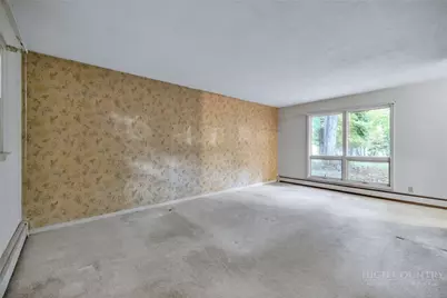 223 Current Drive, West Jefferson, NC 28694 - Photo 27