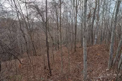 Lot 33 Larkspur Trail, Banner Elk, NC 28604 - Photo 17