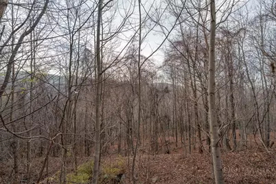Lot 33 Larkspur Trail, Banner Elk, NC 28604 - Photo 15
