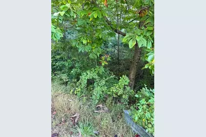 Tbd Fishers Peak View, Ennice, NC 28623 - Photo 3