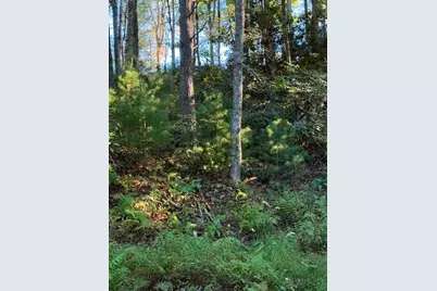 Tbd Fishers Peak View, Ennice, NC 28623 - Photo 5