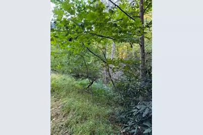 Tbd Fishers Peak View, Ennice, NC 28623 - Photo 7