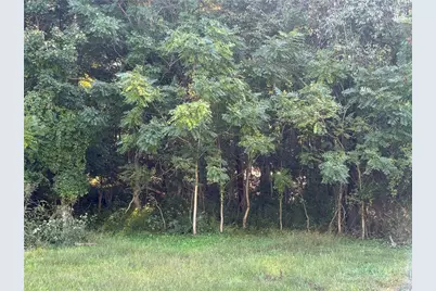 Tbd New Haven Road, Sparta, NC 28675 - Photo 3