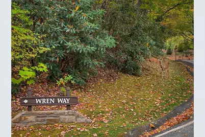 Tbd Wren Way, Banner Elk, NC 28604 - Photo 7