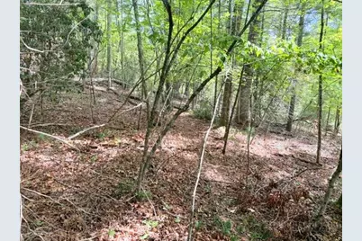 Lot 45 Peace Street, Fleetwood, NC 28626 - Photo 11