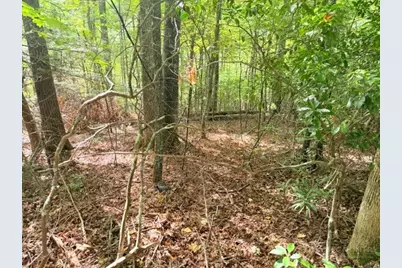 Lot 45 Peace Street, Fleetwood, NC 28626 - Photo 3