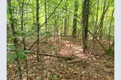 Lot 45 Peace Street, Fleetwood, NC 28626 - Photo 5