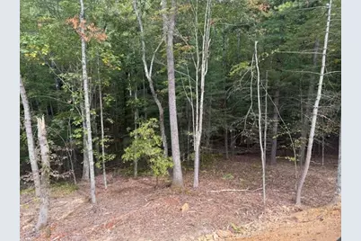 23 Peck Peak Road, Jefferson, NC 28640 - Photo 3