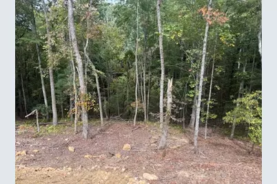 23 Peck Peak Road, Jefferson, NC 28640 - Photo 19