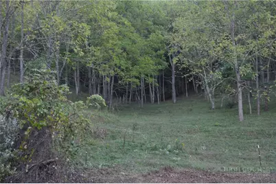 1180 Ball Hollow Road, Lansing, NC 28631 - Photo 31