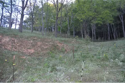 1180 Ball Hollow Road, Lansing, NC 28631 - Photo 27