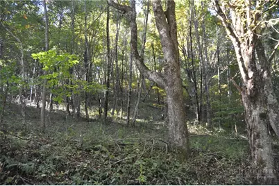 Tbd E. Whenlin Ridge Road, Lansing, NC 28643 - Photo 5