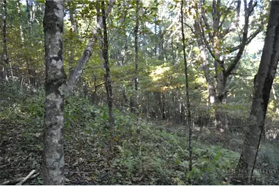 Tbd E. Whenlin Ridge Road, Lansing, NC 28643 - Photo 17
