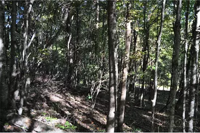 Tbd E. Whenlin Ridge Road, Lansing, NC 28643 - Photo 25