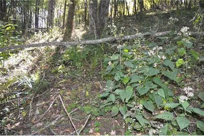 Tbd E. Whenlin Ridge Road, Lansing, NC 28643 - Photo 13