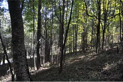 Tbd E. Whenlin Ridge Road, Lansing, NC 28643 - Photo 15