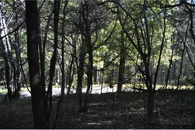 Tbd E. Whenlin Ridge Road, Lansing, NC 28643 - Photo 27