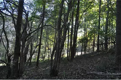 Tbd E. Whenlin Ridge Road, Lansing, NC 28643 - Photo 29