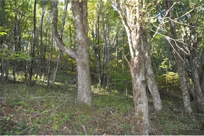 Tbd E. Whenlin Ridge Road, Lansing, NC 28643 - Photo 7