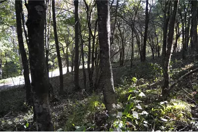 Tbd E. Whenlin Ridge Road, Lansing, NC 28643 - Photo 11