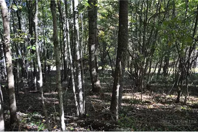Tbd E. Whenlin Ridge Road, Lansing, NC 28643 - Photo 23