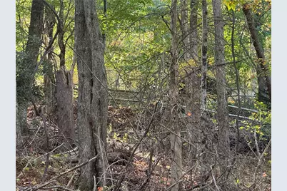Lot 24 Larkspur Trail, Banner Elk, NC 28604 - Photo 15