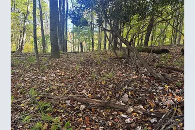 Lot 24 Larkspur Trail, Banner Elk, NC 28604 - Photo 11
