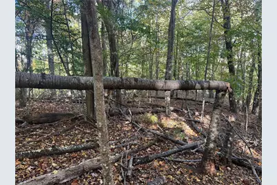 Lot 24 Larkspur Trail, Banner Elk, NC 28604 - Photo 7