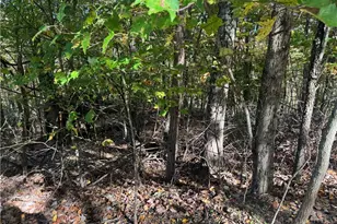 Lot 24 Larkspur Trail, Banner Elk, NC 28604 - Photo 1