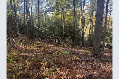 Lot 24 Larkspur Trail, Banner Elk, NC 28604 - Photo 13