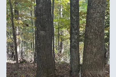 Lot 24 Larkspur Trail, Banner Elk, NC 28604 - Photo 5