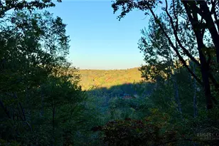 109 Foxgrape Hollow Rd, Beech Mountain, NC 28604 - Photo 3