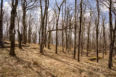 Tbd (C3) Oz Circle Extension, Beech Mountain, NC 28604 - Photo 9