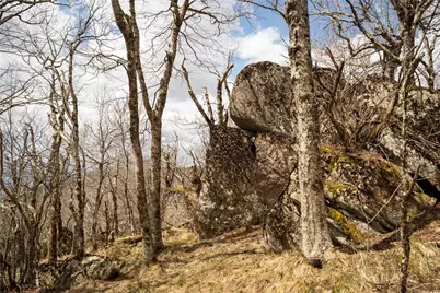 Tbd (C3) Oz Circle Extension, Beech Mountain, NC 28604 - Photo 15
