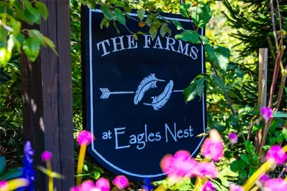 F37 Eagles Nest Trail, Banner Elk, NC 28604 - Photo 5