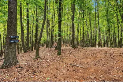 0000 Chesnut Grove Road, Millers Creek, NC 28651 - Photo 49