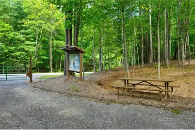 0000 Chesnut Grove Road, Millers Creek, NC 28651 - Photo 7