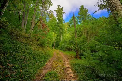 0000 Chesnut Grove Road, Millers Creek, NC 28651 - Photo 45