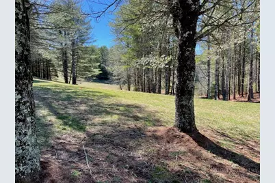 Tbd Little Harbour Court, Vilas, NC 28692 - Photo 9