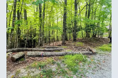 103 Spicewood Lane, Beech Mountain, NC 28604 - Photo 1