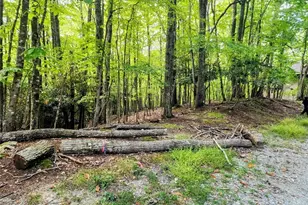 103 Spicewood Ln, Beech Mountain, NC 28604 - Photo 1