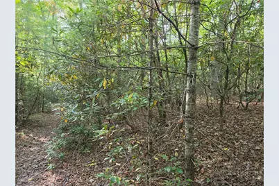 Tbd Off Windy Acres Ridge Road, Fleetwood, NC 28626 - Photo 7