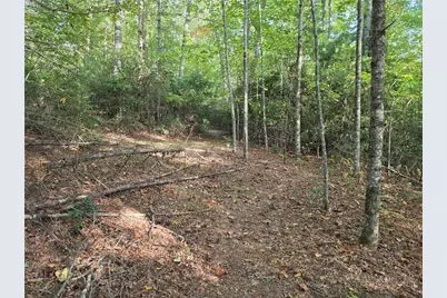 Tbd Off Windy Acres Ridge Road, Fleetwood, NC 28626 - Photo 3